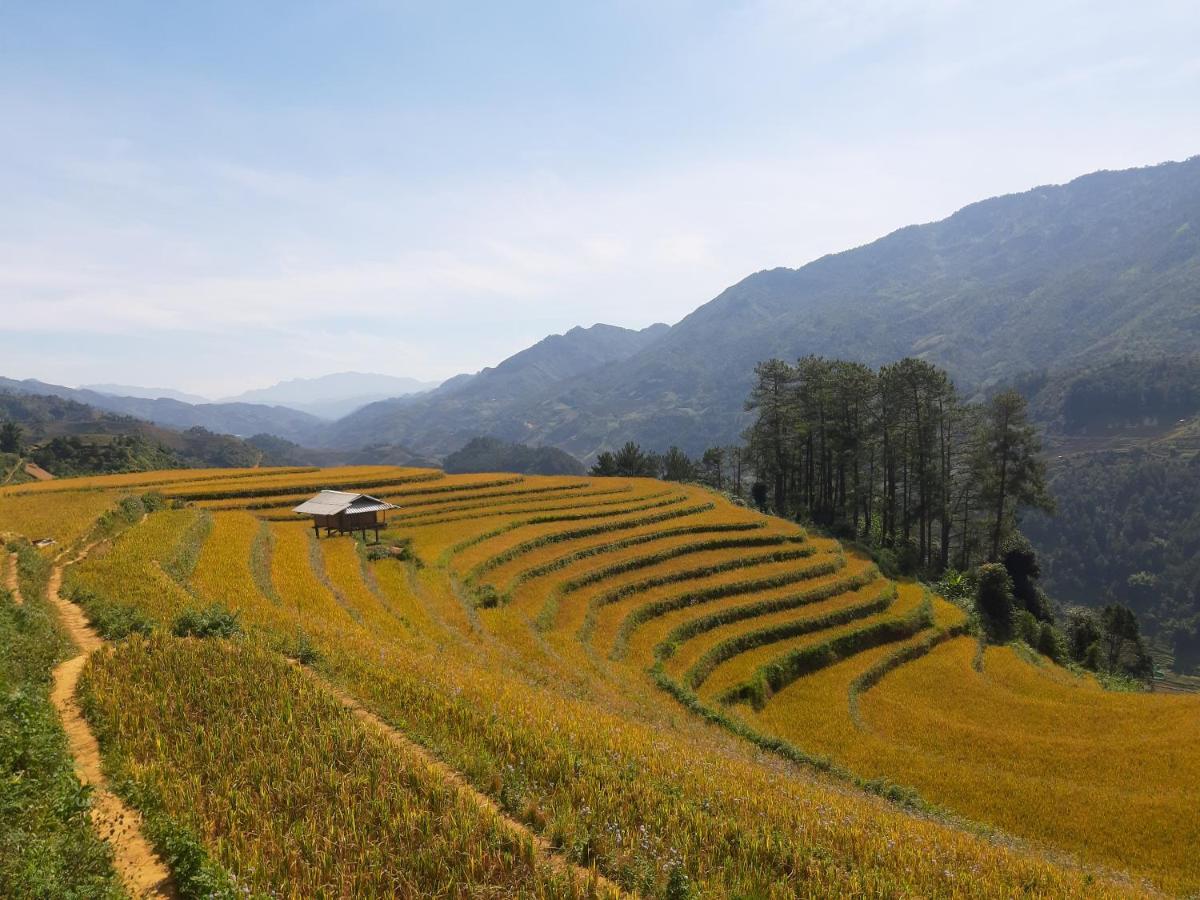 Indigenous homestay 1 Mu Cang Chai Buitenkant foto