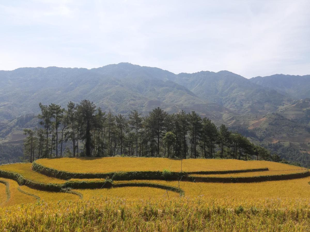 Indigenous homestay 1 Mu Cang Chai Buitenkant foto