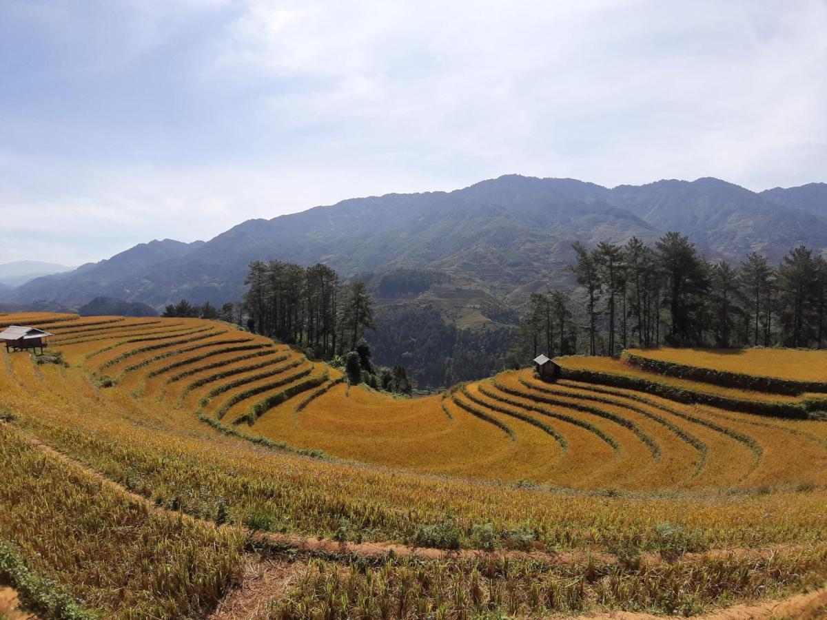 Indigenous homestay 1 Mu Cang Chai Buitenkant foto