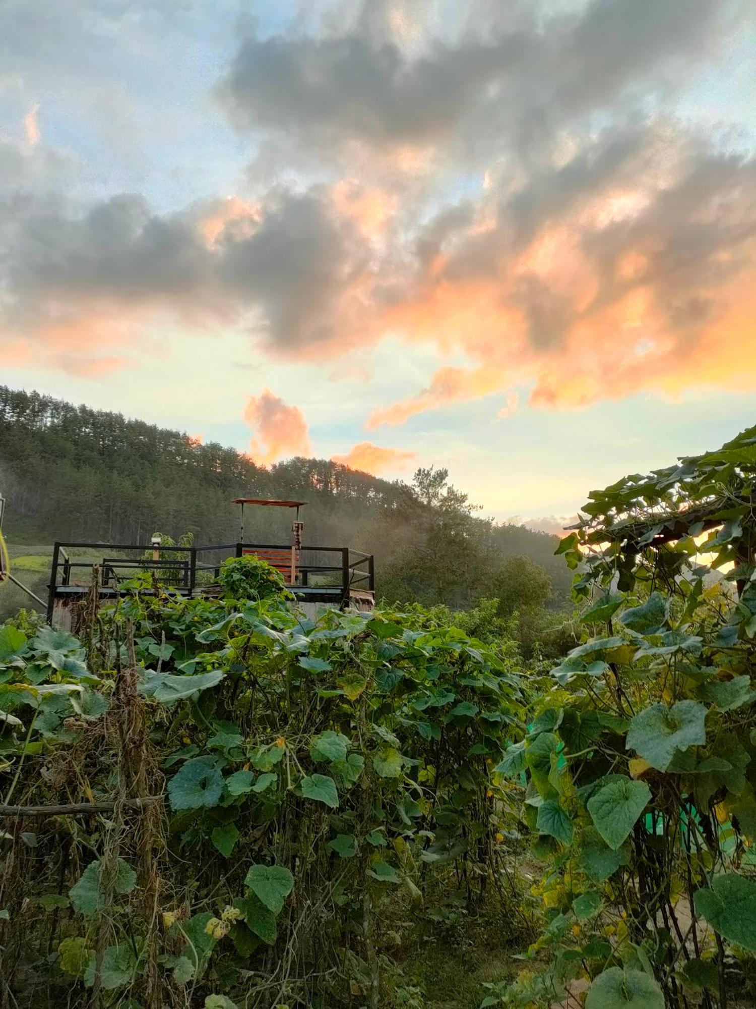 Indigenous homestay 1 Mu Cang Chai Buitenkant foto