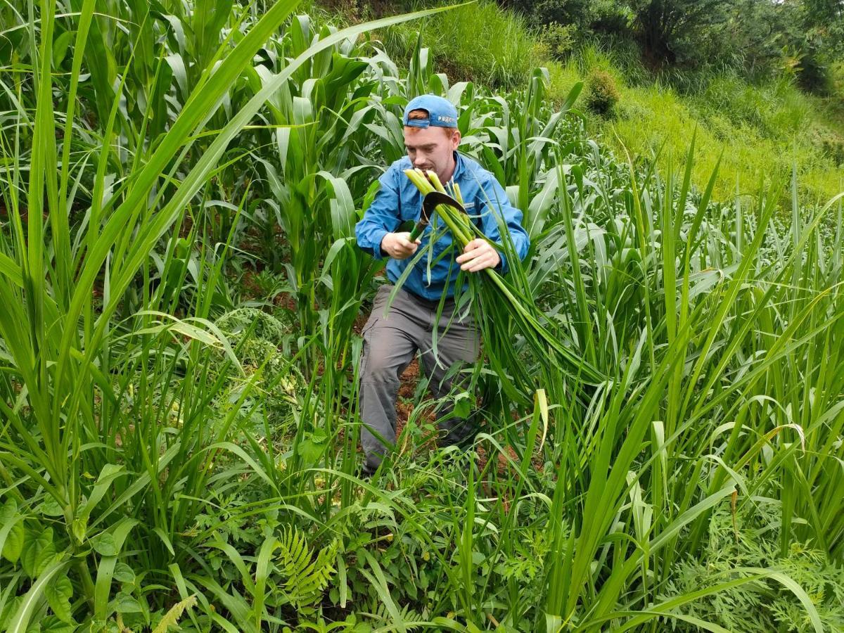 Indigenous homestay 1 Mu Cang Chai Buitenkant foto