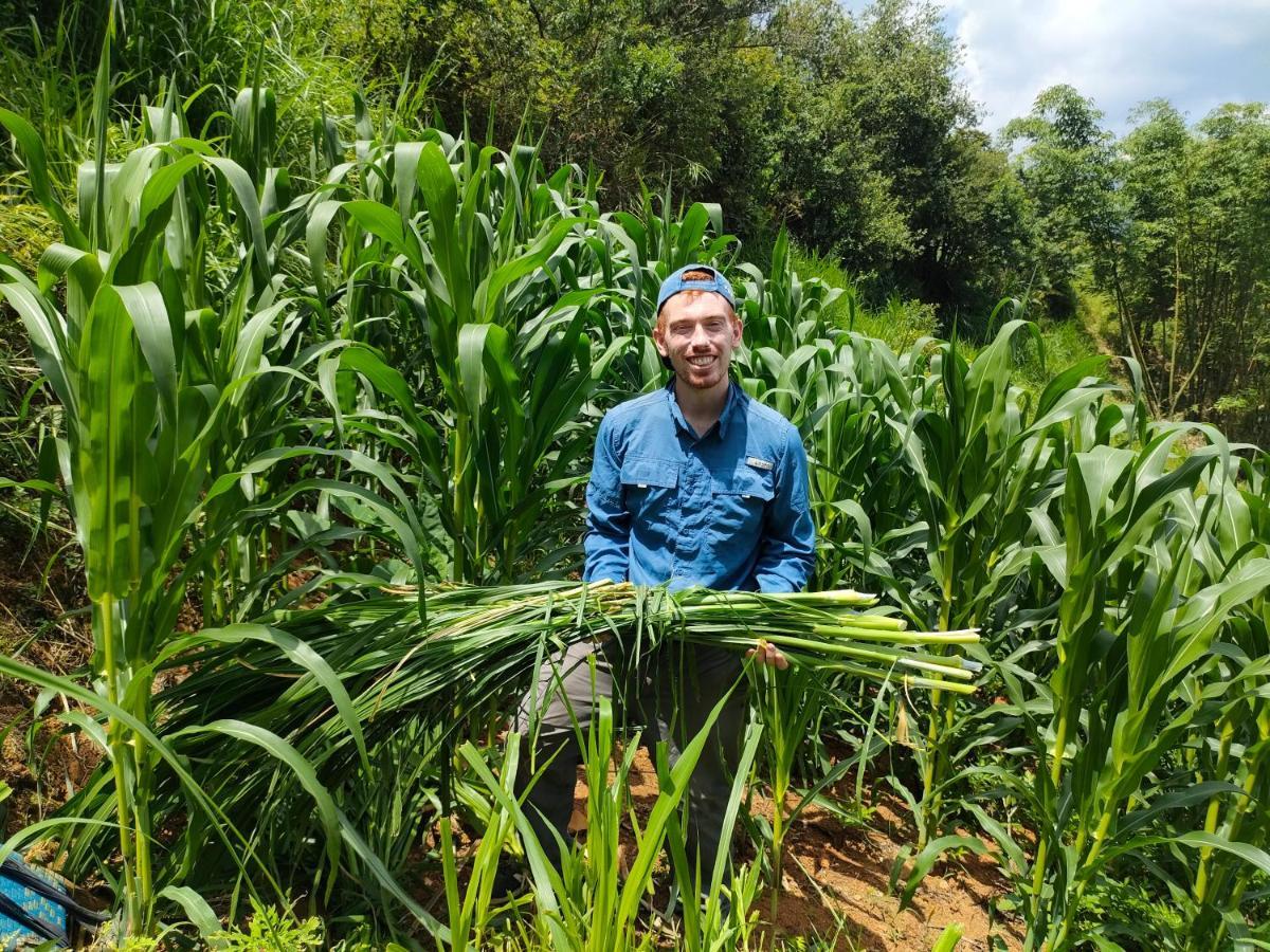 Indigenous homestay 1 Mu Cang Chai Buitenkant foto