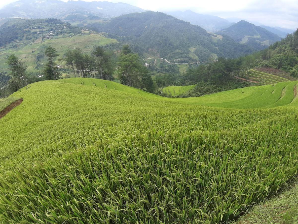 Indigenous homestay 1 Mu Cang Chai Buitenkant foto