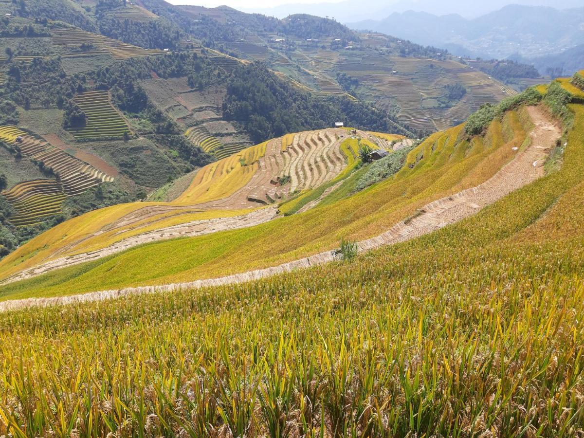 Indigenous homestay 1 Mu Cang Chai Buitenkant foto